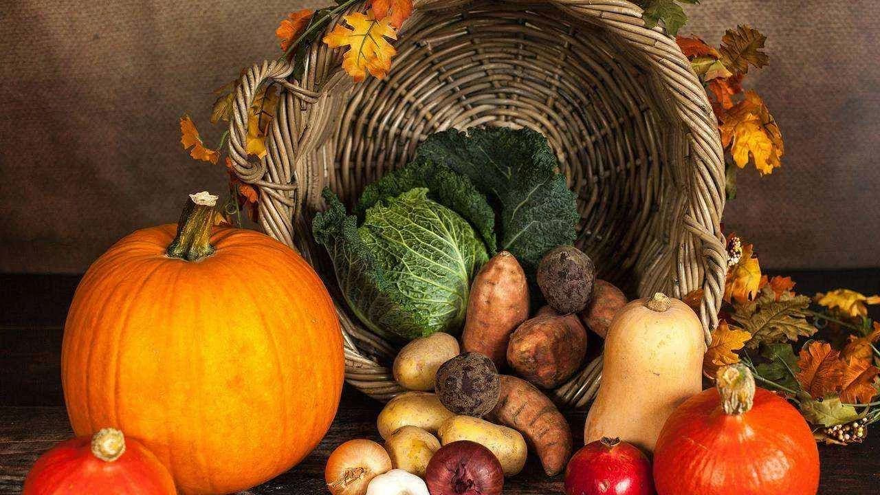 A wicker cornucopia basket overflowing with autumn harvest vegetables, pumpkins and squash; no people.